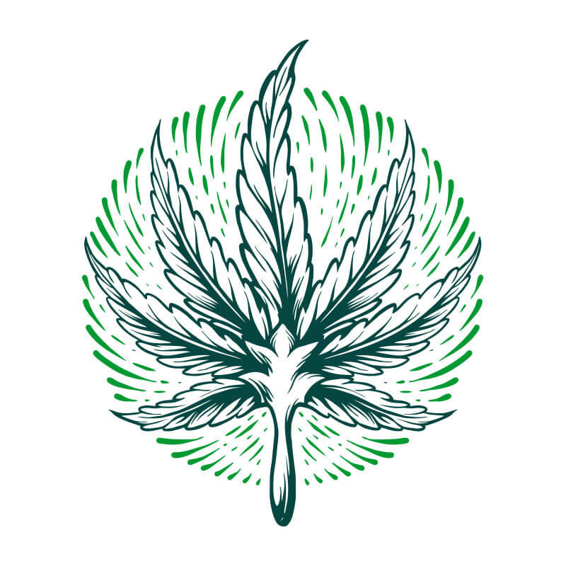 Cannabis Leaf T-shirt