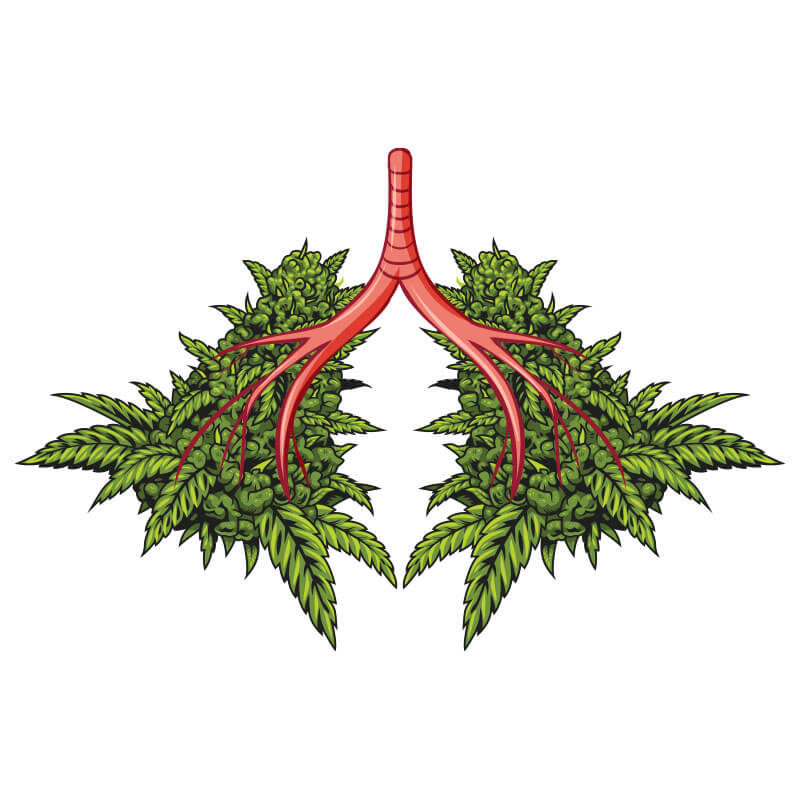 Cannabis Lungs T-shirts